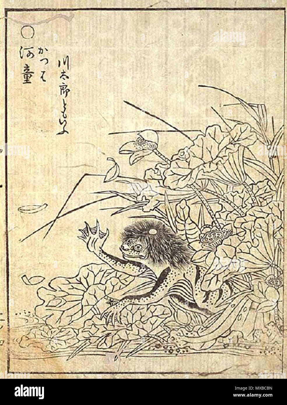 A kappa mythical japanese figure . Unknown date. Toriyama Sekien (Japanese,  *1712, †1788) 335 Kappa jap myth Stock Photo - Alamy