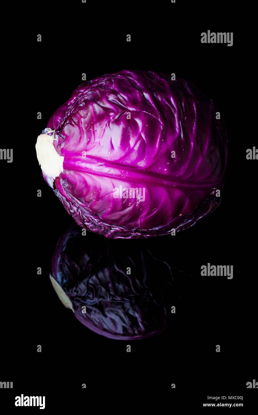 Purple cabbage head on black background with reflection vertical image
