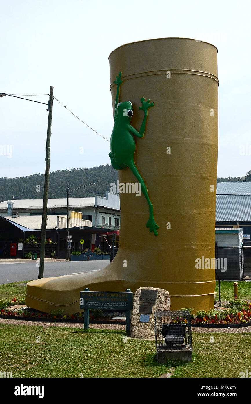 Tully, golden gumboot, Queensland Stock Photo