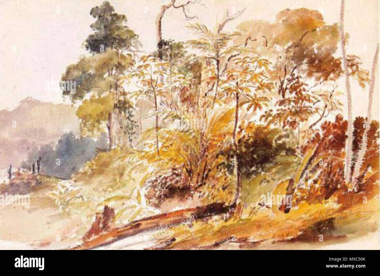 Español: Camille Pizarro: Linde del Bosque Acuarela 53 x 34 cm