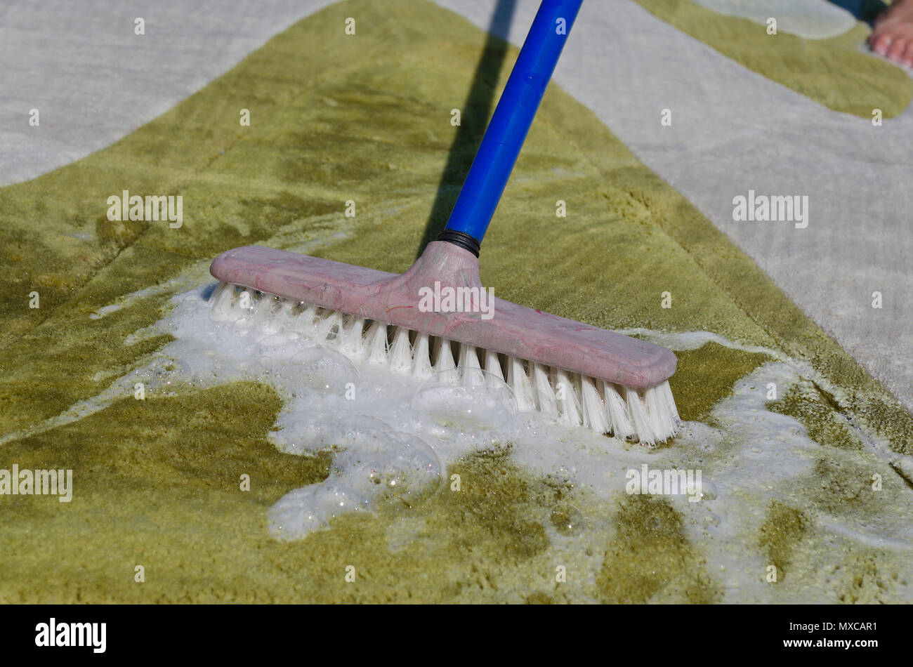Washing carpet with brush Stock Photo Alamy