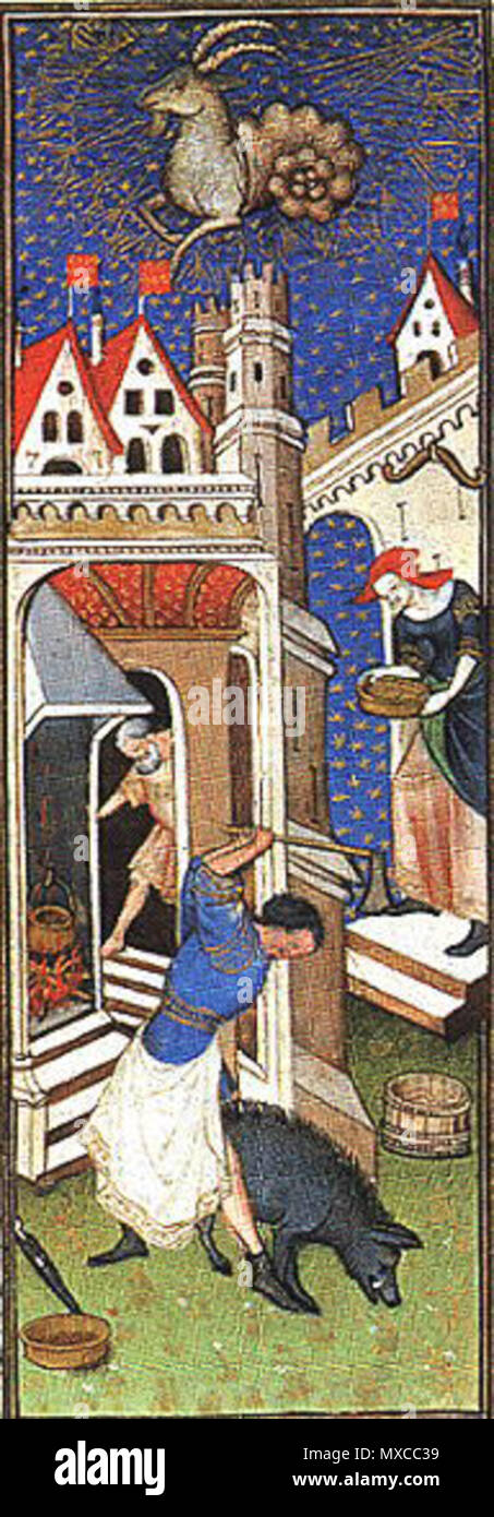 . An illustration showing the season of Capricorn and the butchering of a pig. 7 October 2009. Unknown 410 MedievalButchering Stock Photo