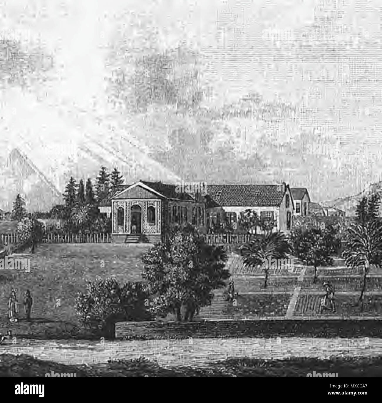 Six napoleons hires stock photography and images Alamy