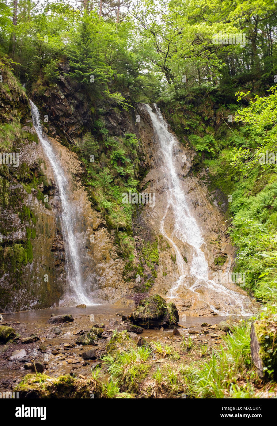 The Grey Mare's Tail waterfall (Rhaeadr y Parc Mawr) twin falls in Gwydyr Forest Park in Snowdonia National Park. Llanrwst, North Wales, UK, Britain Stock Photo