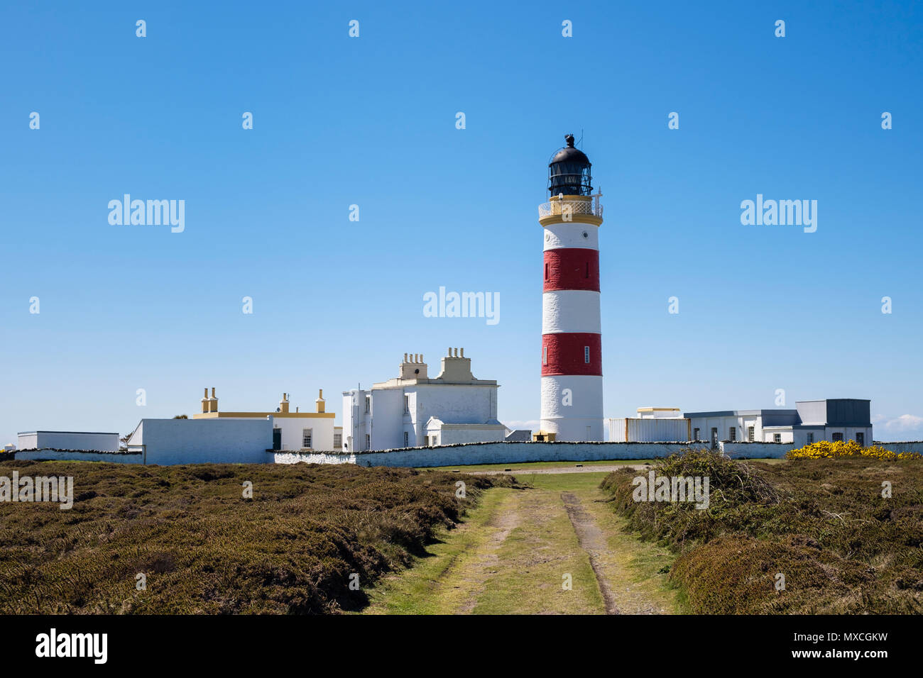 Grassy track leading to red and white Point of Ayre lighthouse and buildings complex near Ramsey, Isle of Man, British Isles Stock Photo