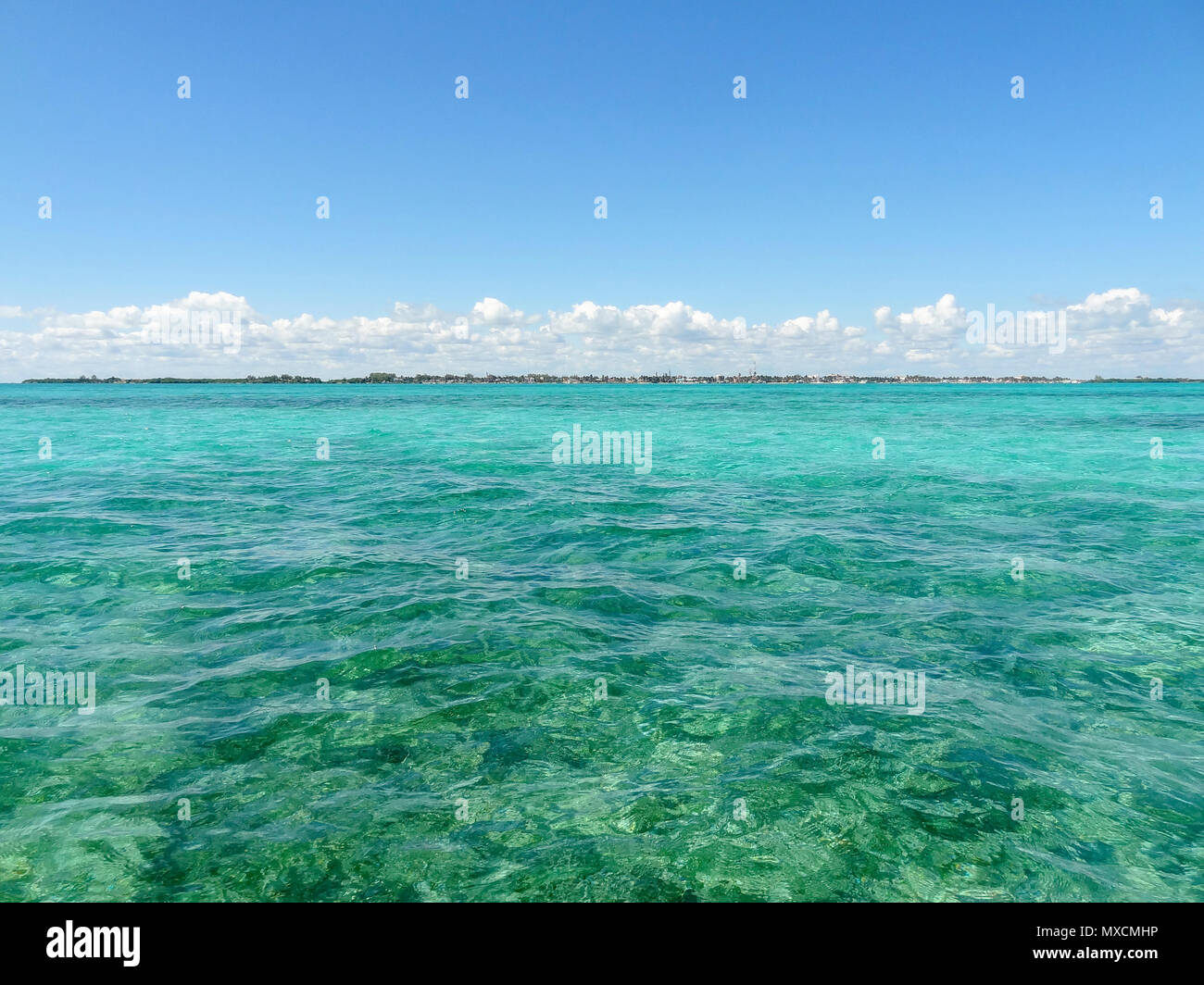 sunny distant view of the coastal scenery around Caye Caulker in Belize in Central America Stock Photo