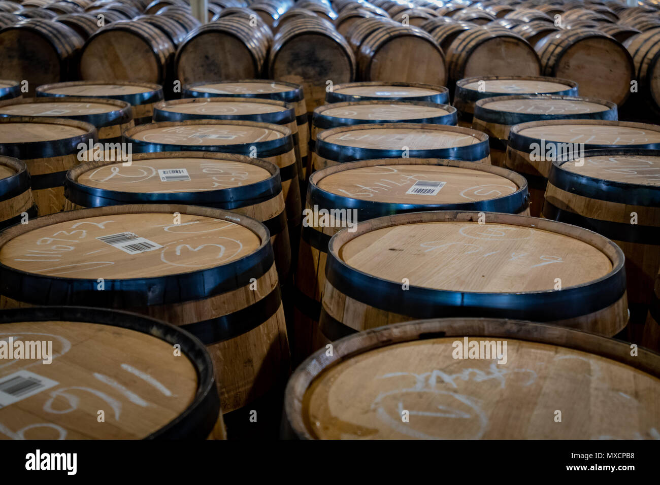 Tops of Bourbon Barrels in storage room Stock Photo Alamy