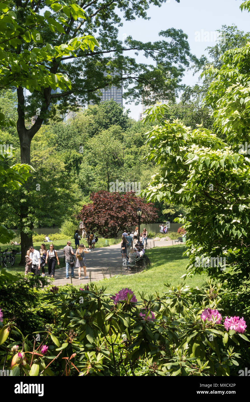 Central Park, New York City, USA Stock Photo