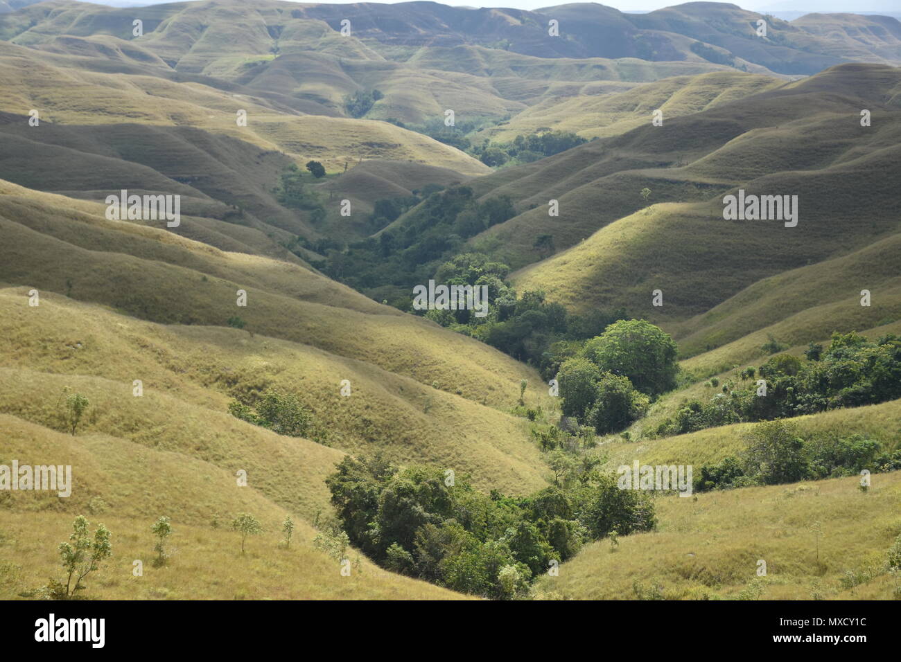 Scenery of Warinding Hills, in East Sumba Stock Photo