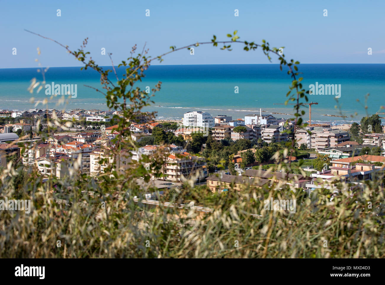 Roseto degli Abruzzi, Abruzzo, Italy. Roseto degli Abruzzi is also known as  the 'Lido delle Rose' because of the great variety of roses and oleanders  Stock Photo - Alamy