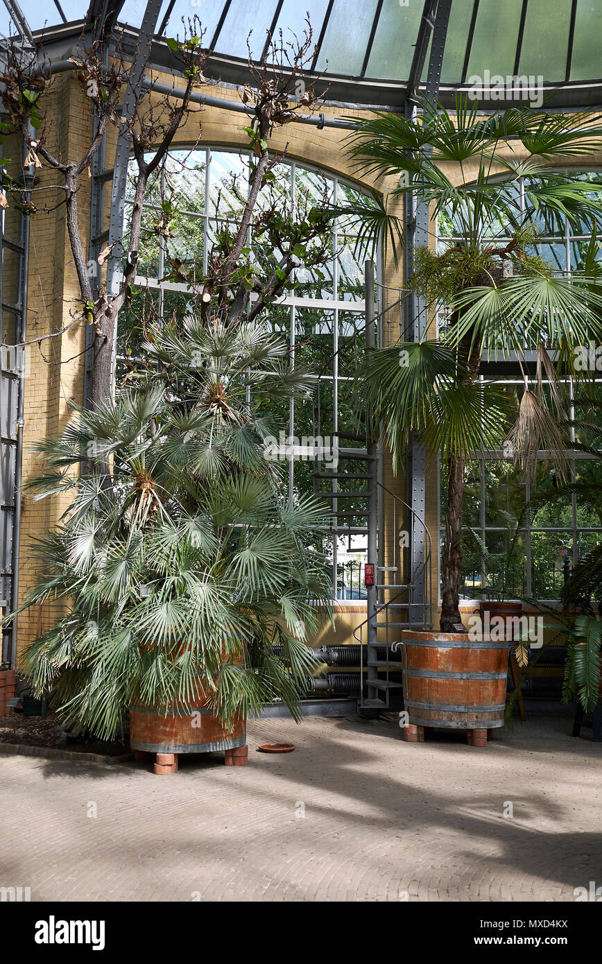 Amsterdam De Hortus Botanical Garden Stock Photos Amsterdam De