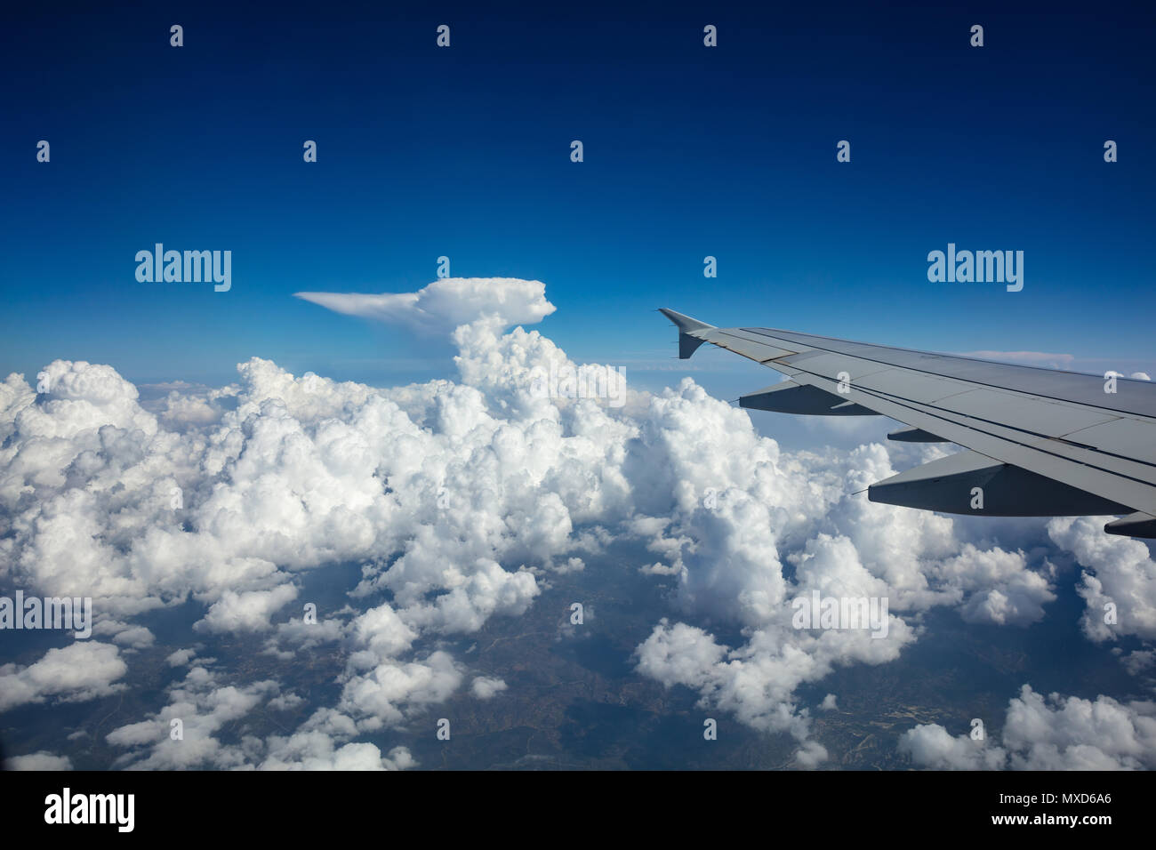 Sky plane blue wing hi-res stock photography and images - Alamy
