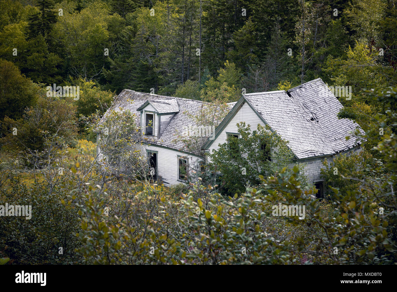 Derelict house in New Brunswick, Canada. This abandoned