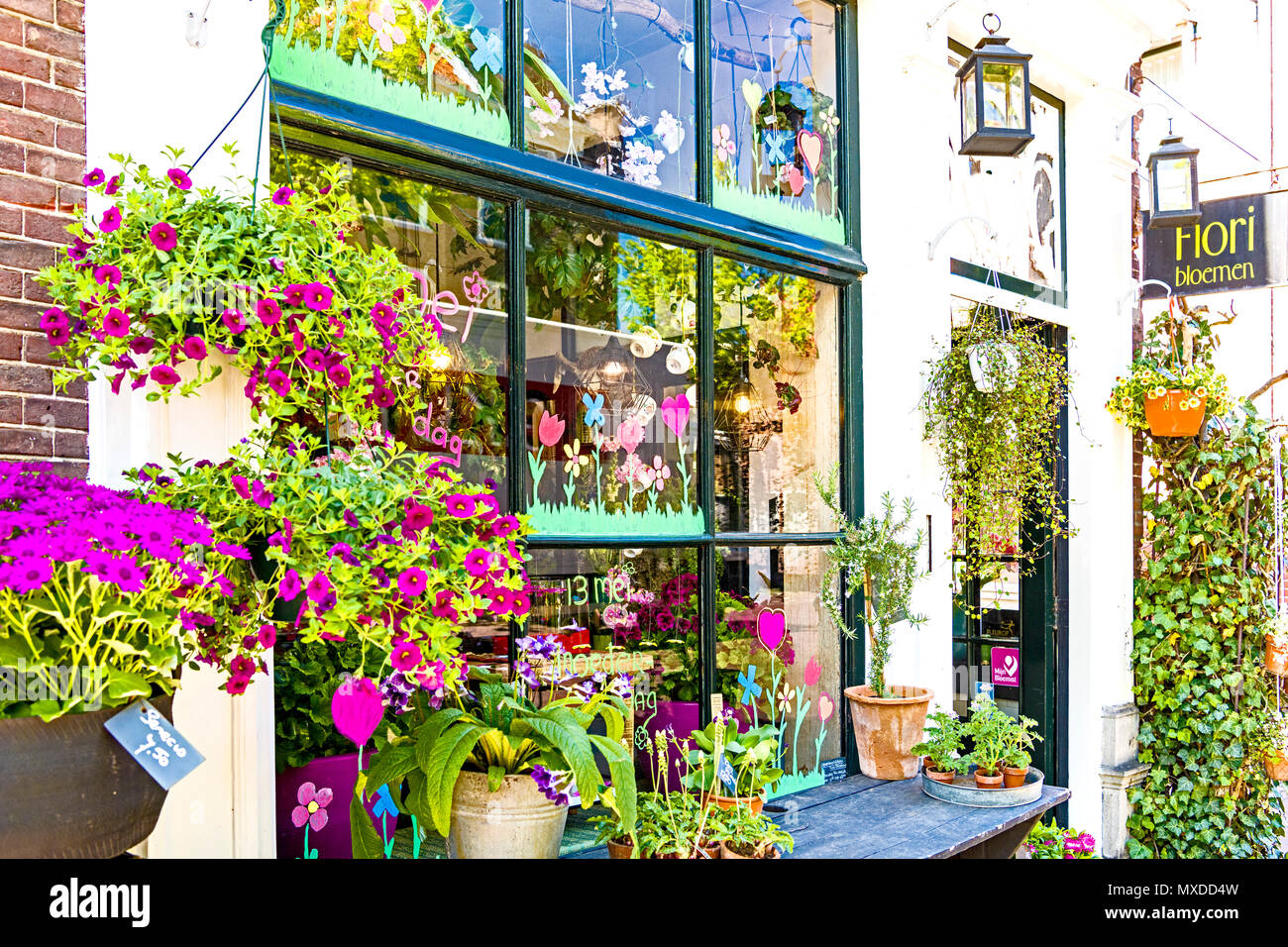 Brightly cloloured hires stock photography and images Alamy