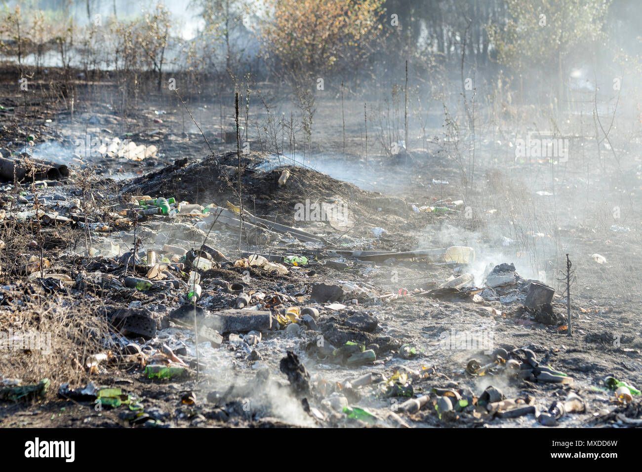 Burning garbage at illegal waste dumo near forest. Black earth and