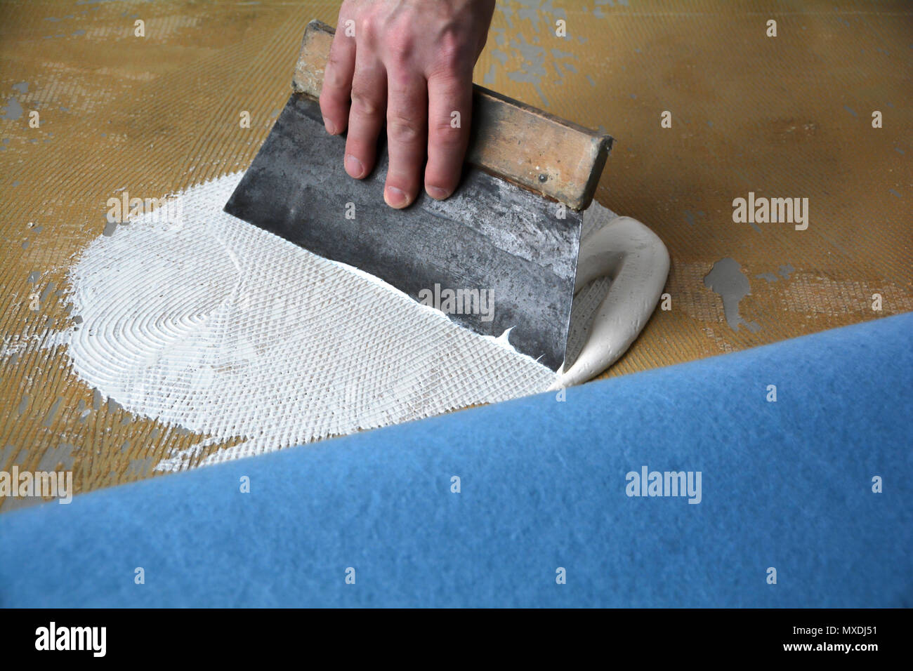 Craftsman while applying glue on a floor Stock Photo