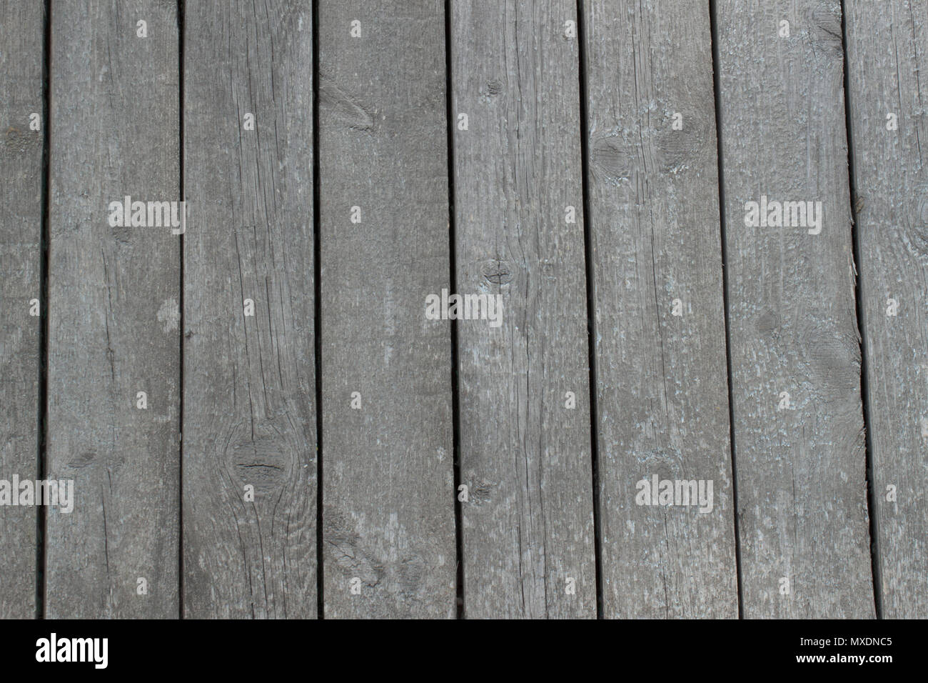 Gray wooden boards of old fence Stock Photo