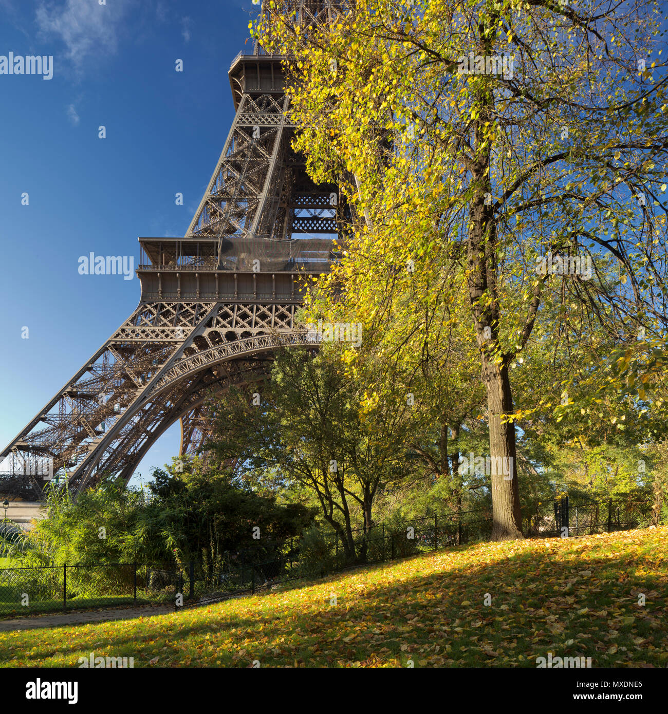 Eiffel Tower in autumn, Paris, France Stock Photo