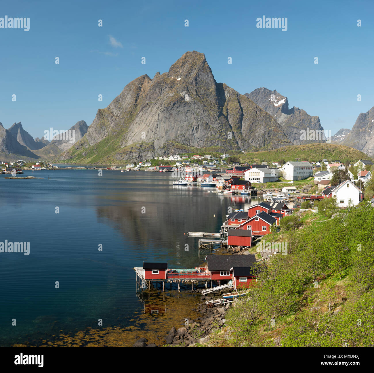 Reine fishing village, Lofoten Islands, Norway. Stock Photo