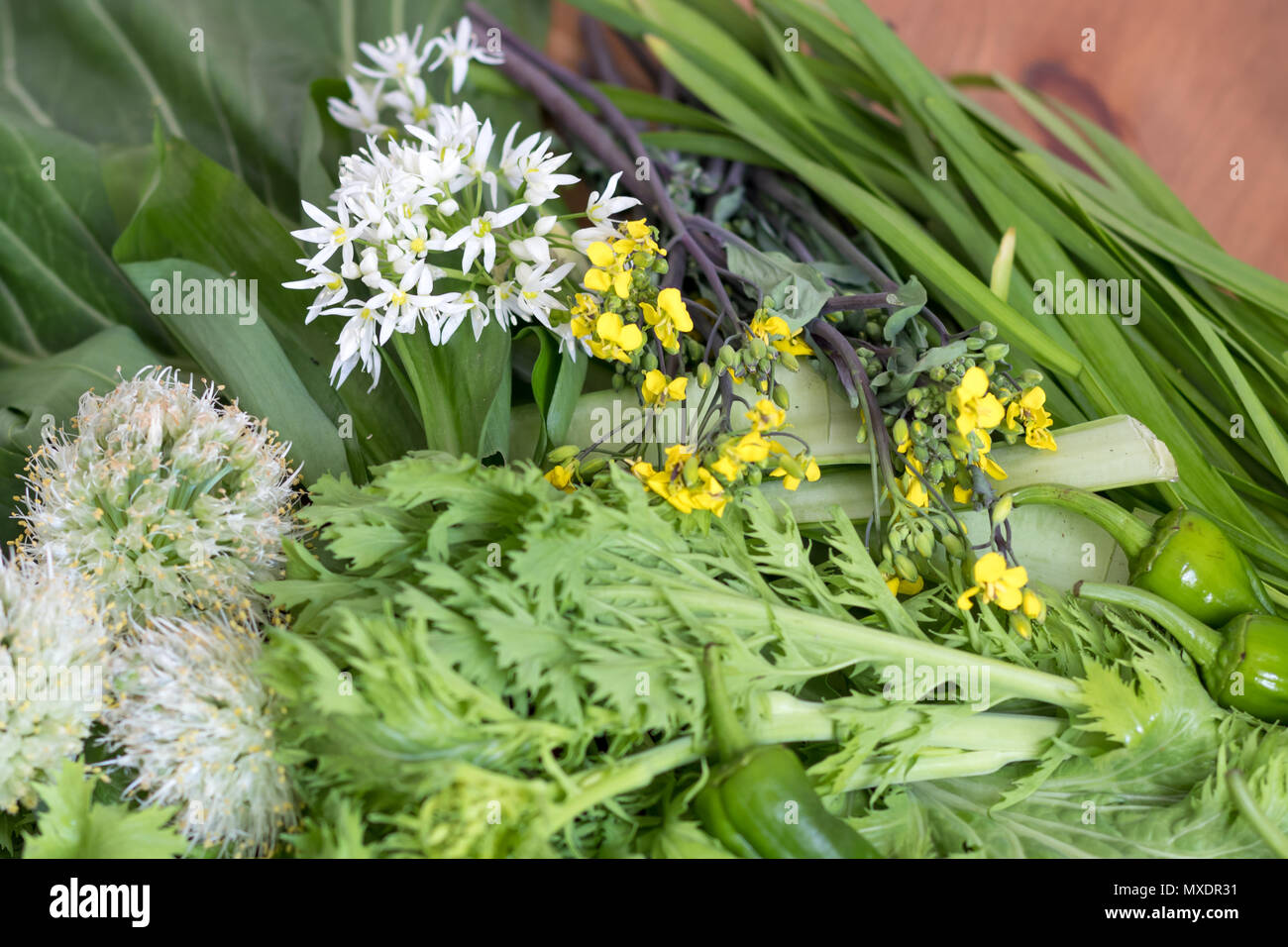 Asian green leafy vegetables hires stock photography and images Alamy