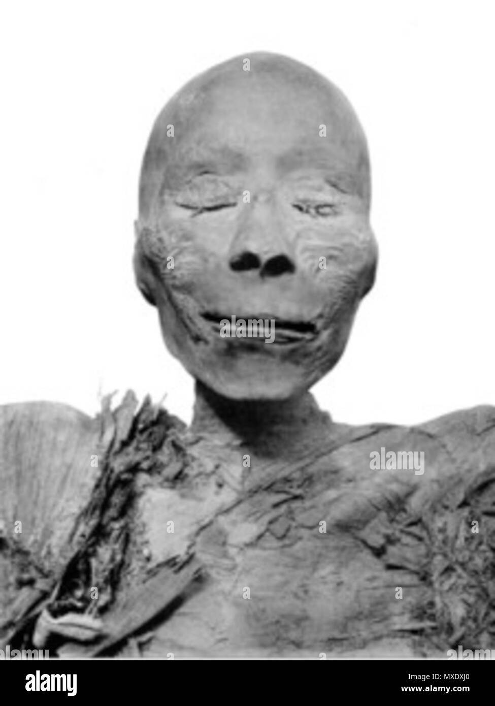 . Momia JE 26217, tradicionalmente adjudicada a Tutmosis I . 1909. Catálogo museo egipcio de El Cairo 433 Mumie Thutmosis I Stock Photo