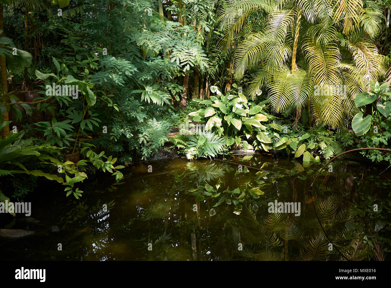 Amsterdam, Netherlands - May 16, 2018: View of amsterdam botanical ...