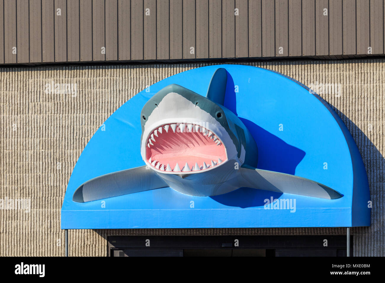 Lancaster, PA, USA - May 25, 2018: The unusual sign includes a shark at  That Fish Place, a large retail and Internet location, selling fish and pet  s Stock Photo - Alamy