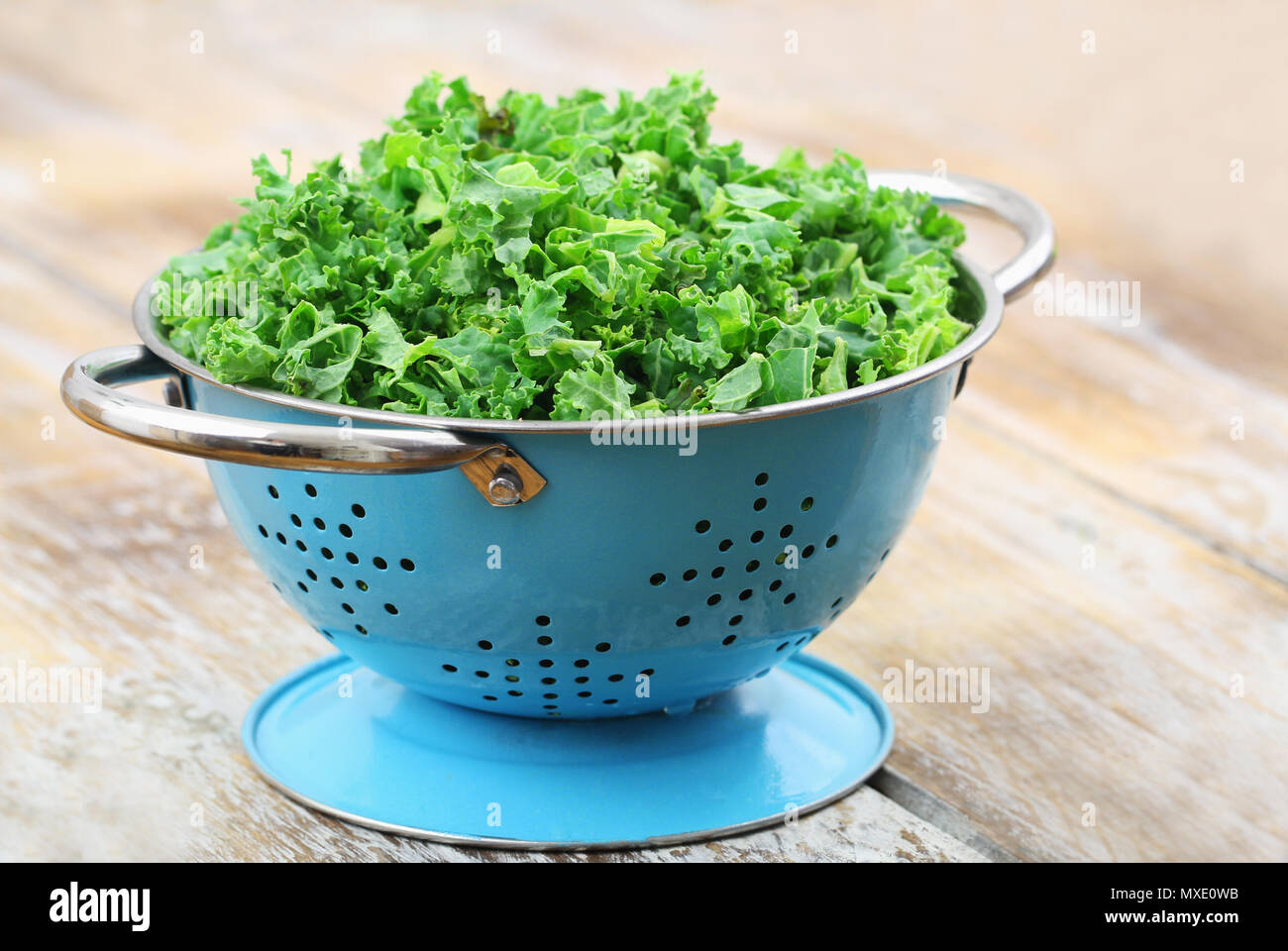 Blue colander with raw shredded kale on rustic wooden surface Stock Photo