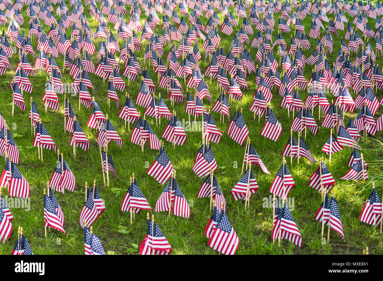 Flags on Memorial Day, New York City, United States Stock Photo Alamy