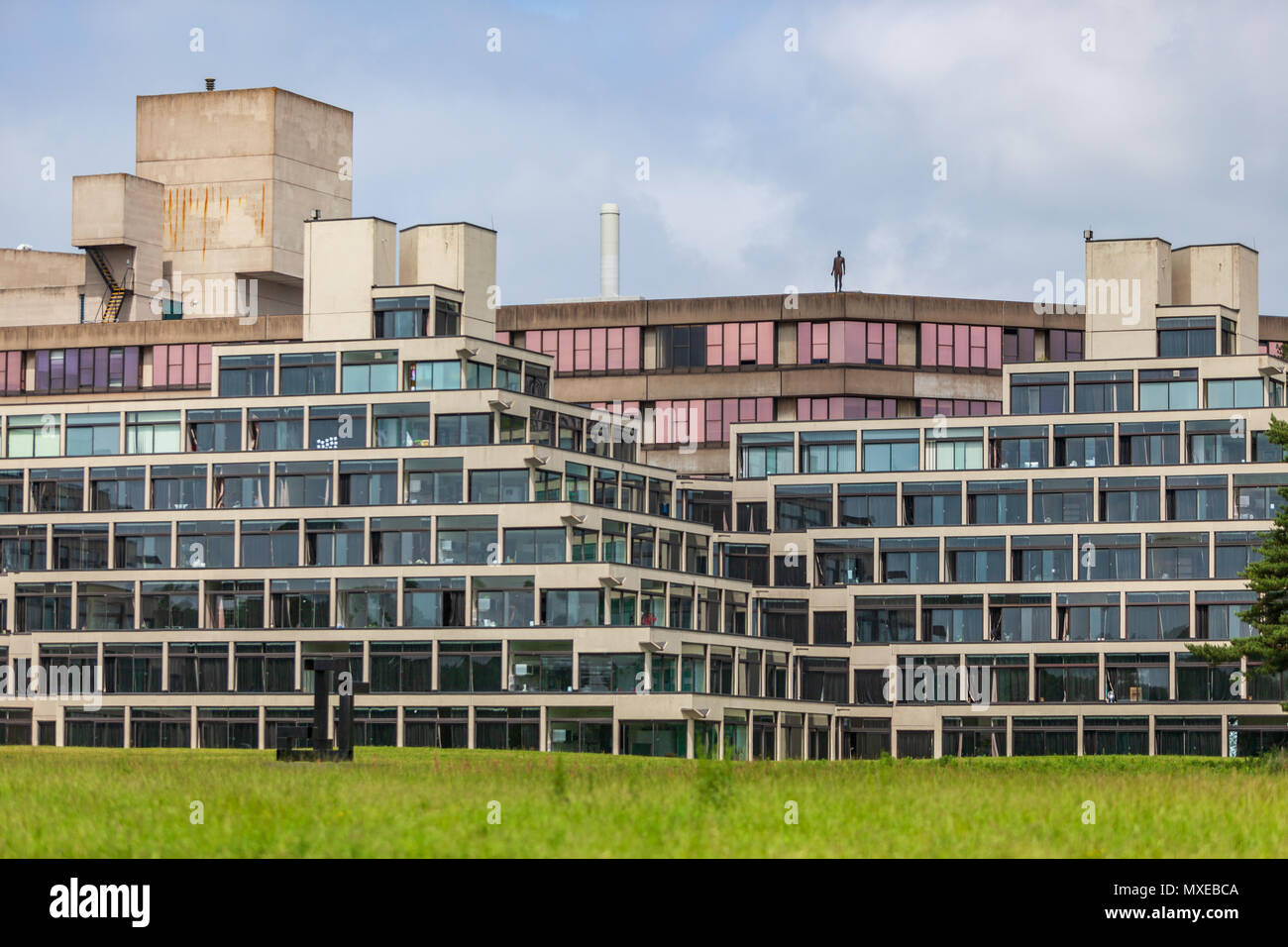 University of east anglia norwich hires stock photography and images