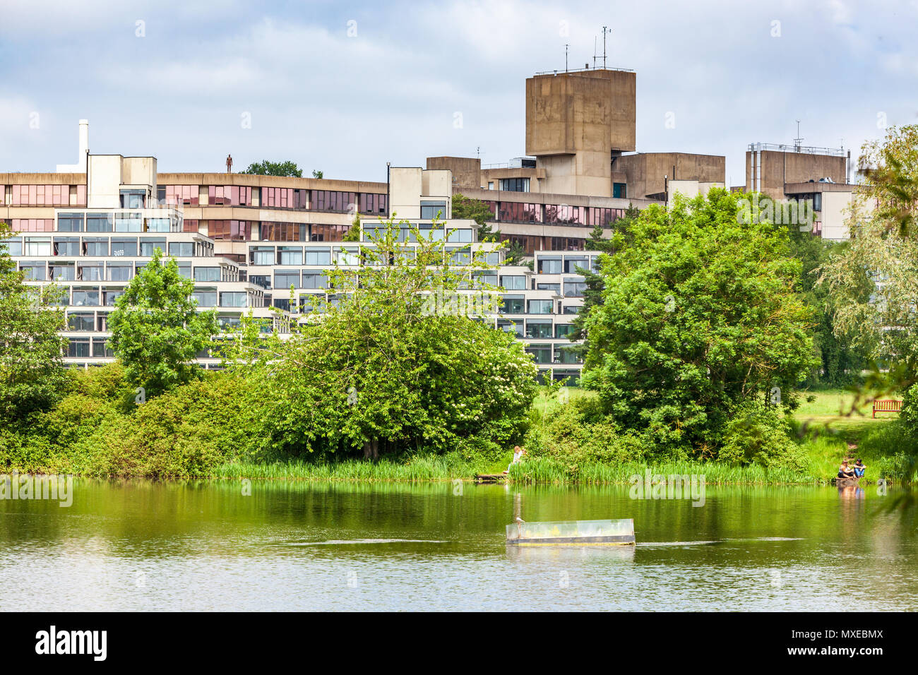 view of the lake and campus university of east anglia uea norwich Stock Photo Alamy view of the lake and campus university of east anglia uea norwich Stock Photo Alamy