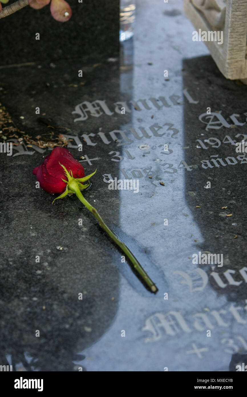 rose in the grave of some cemetery Stock Photo - Alamy