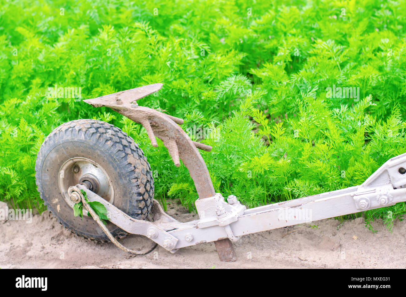 A manual plow on an electric winch. Cultivator. Agricultural tools,  farming. Agriculture. Plowing the ground before planting, cultivating  plants, harv Stock Photo - Alamy