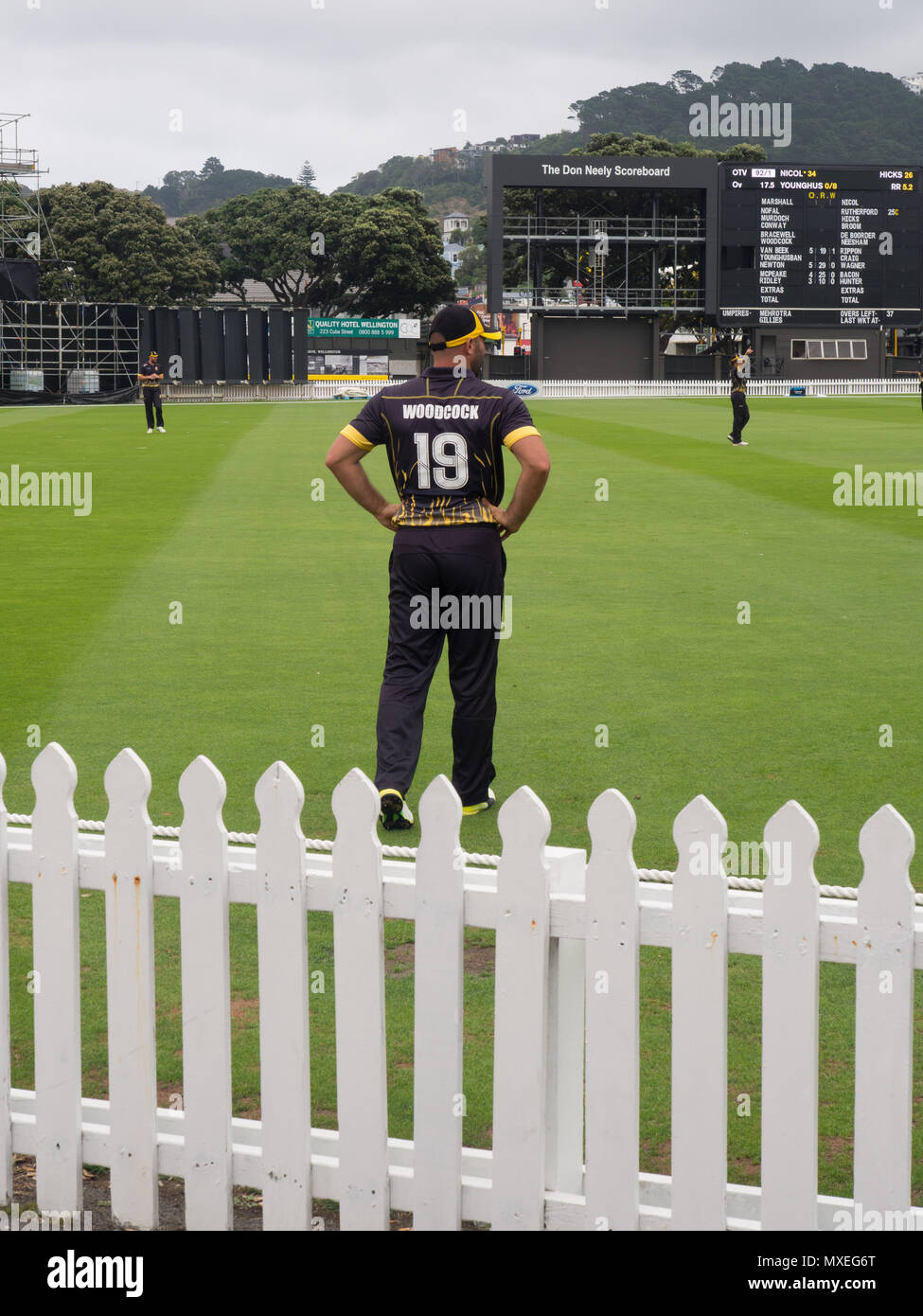 Wellington Firebirds Player In A One Day Cricket Match At The Basin Reserve Stock Photo