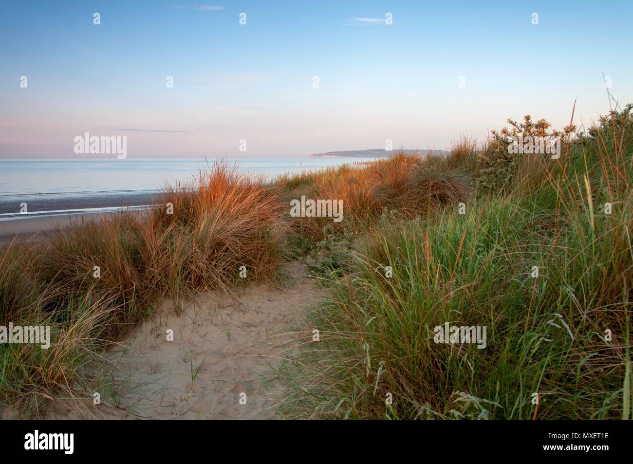 Looking out to sea over a grass covered sand dune at sunrise Stock Photo