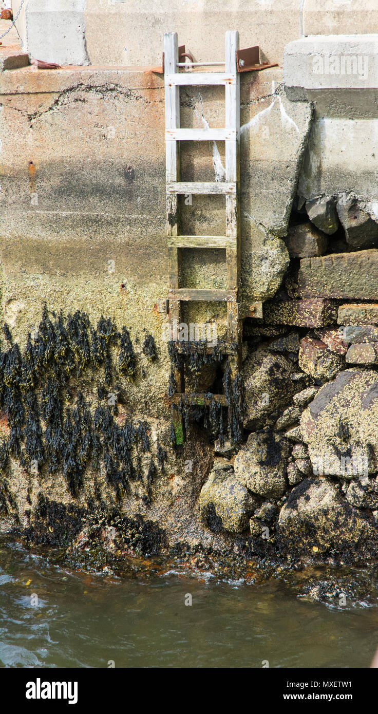 Ladder on rocky sea wall. Stock Photo