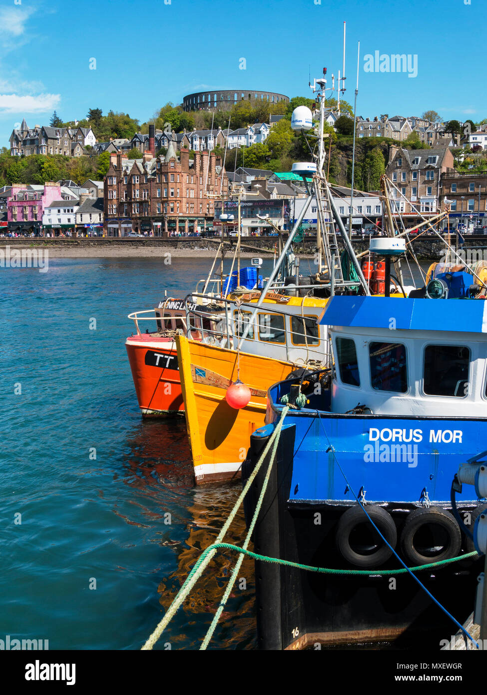 Colourful fishing boats moored in Oban harbour, Argyll and Bute, Scotland, UK Stock Photo