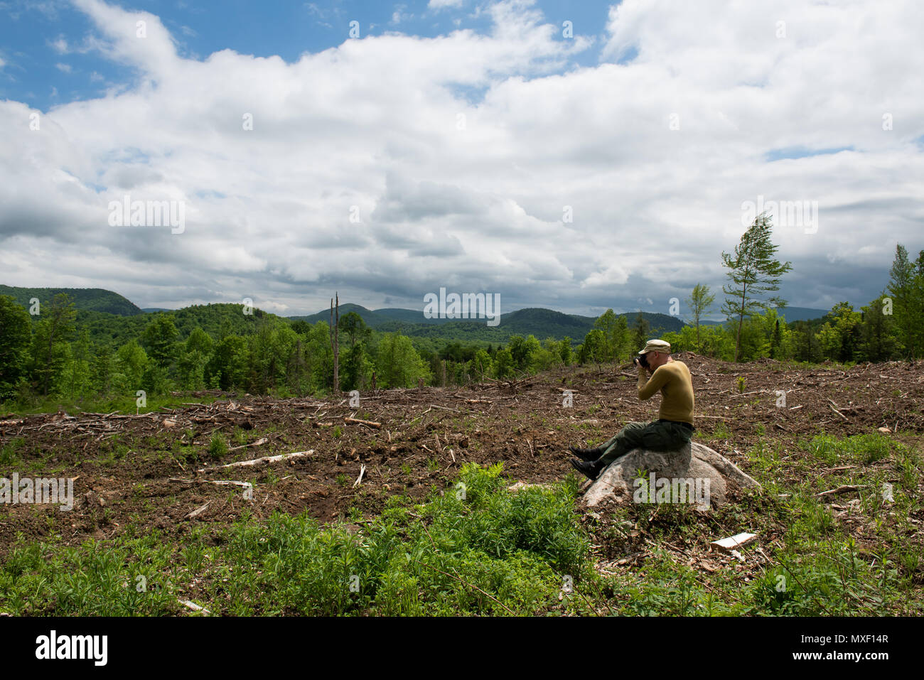 Sad old male photographer sitting on a rock looking an an area of clearcut logging in the Adirondack Mountains, NY USA Stock Photo