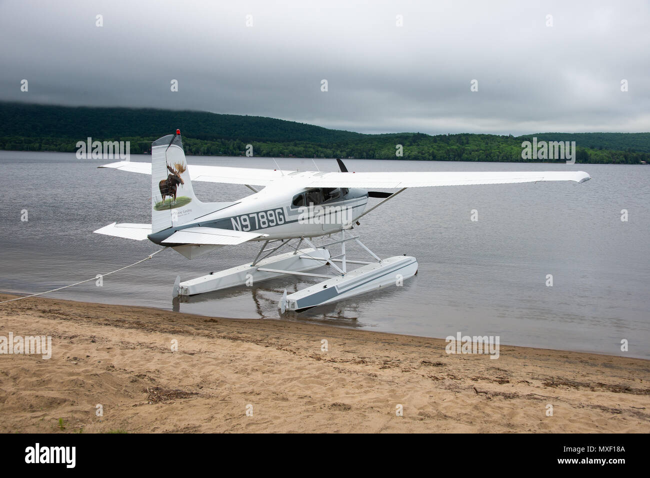 A 1973 Cessna 180J float plane tied up on the sand beach on Lake Pleasant in Speculator, NY USA Stock Photo