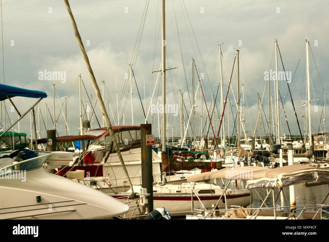 Sailboats in a Harbor Stock Photo - Alamy
