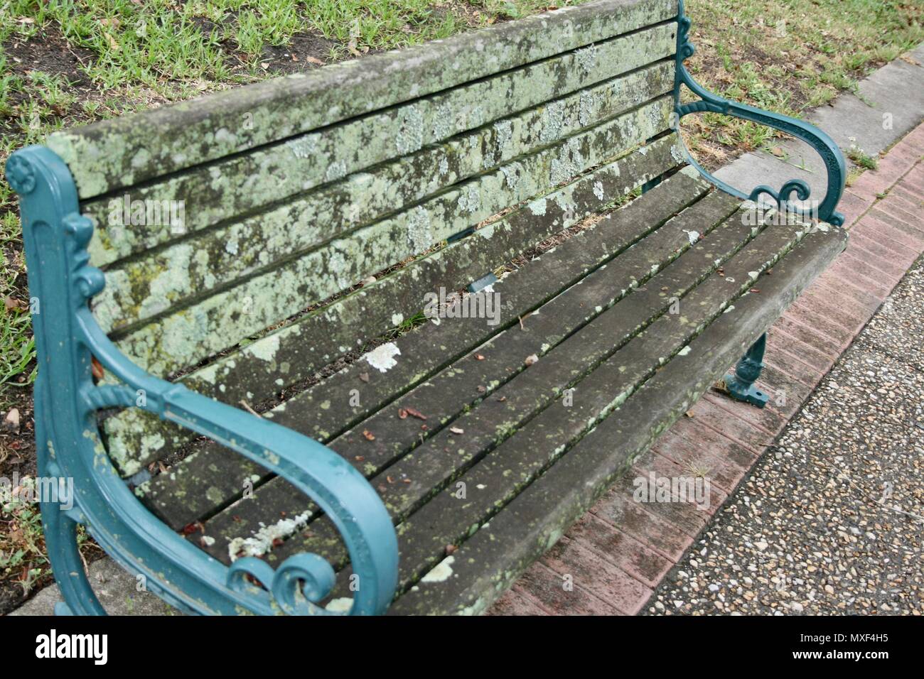 A bench filled with mold after a wet winter Stock Photo