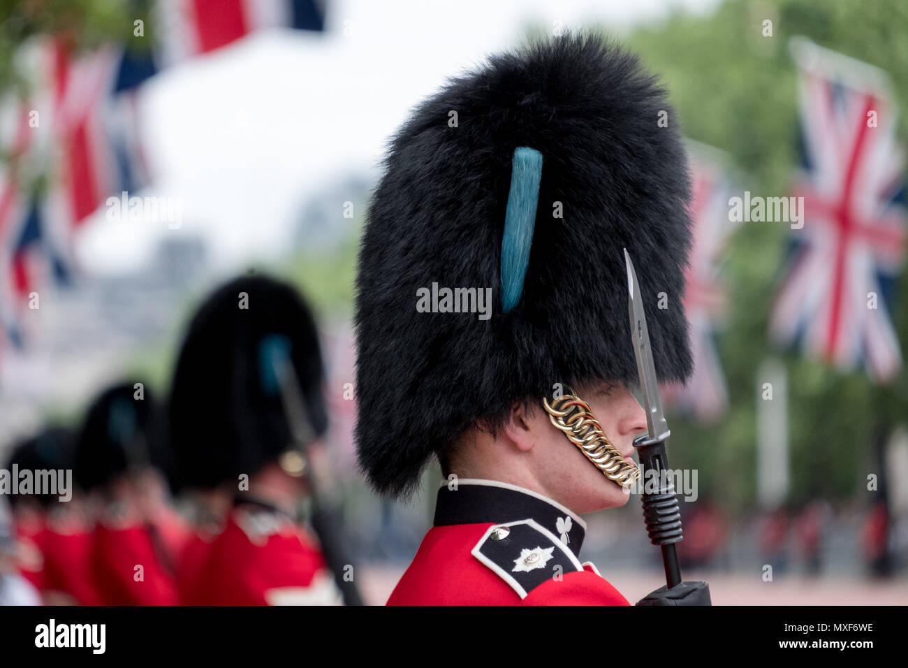 Busby Hat High Resolution Stock Photography and Images Alamy