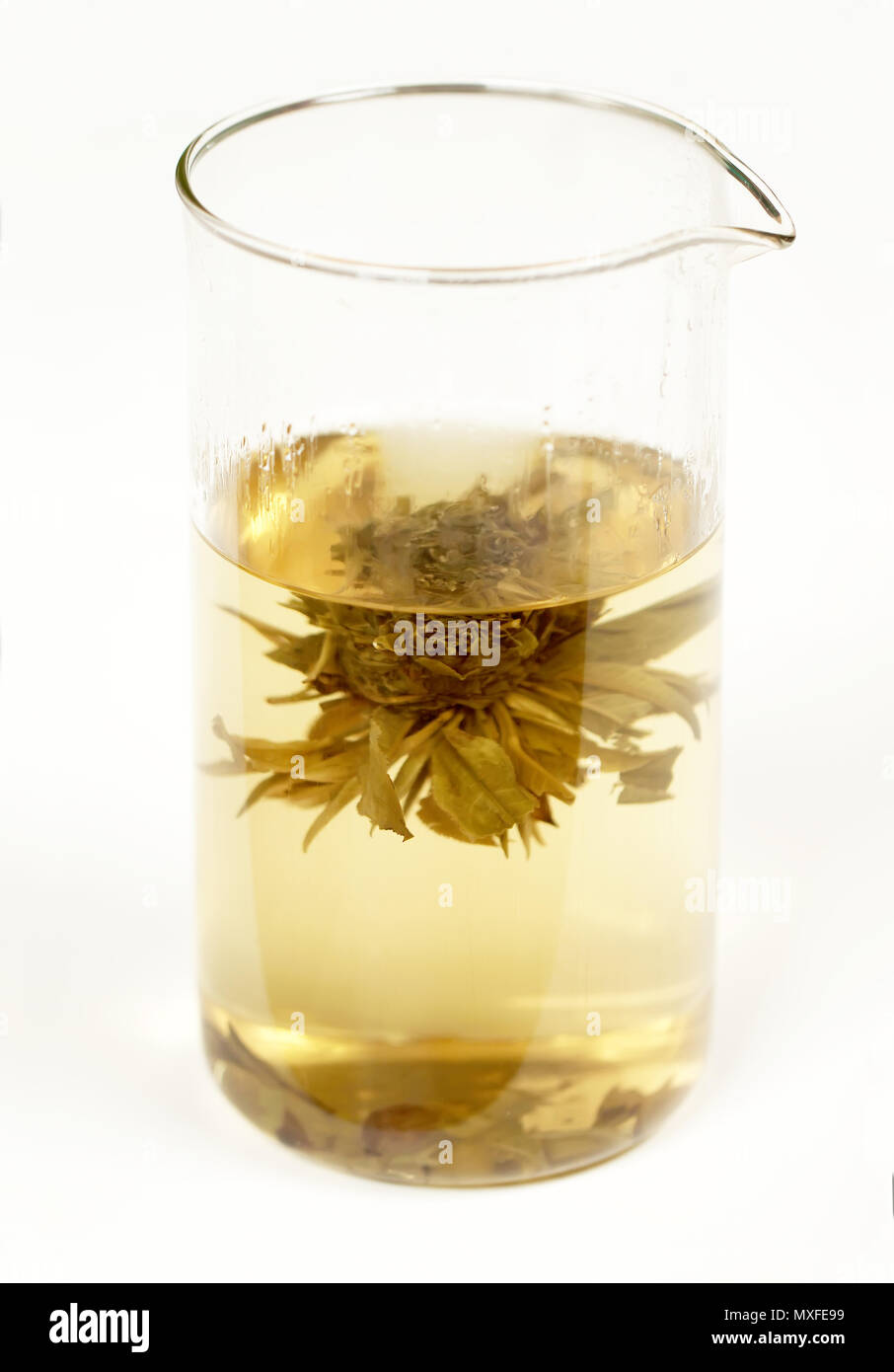 Hot tea in glass teapot isolated Stock Photo Alamy