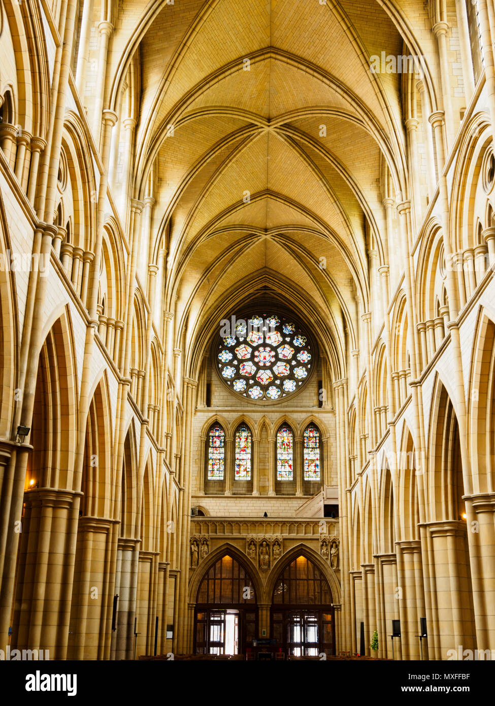 Vaulted roof above the stained glass rose window and columns of the nave of the Victorian Truro Cathedral, Cornwall, UK Stock Photo