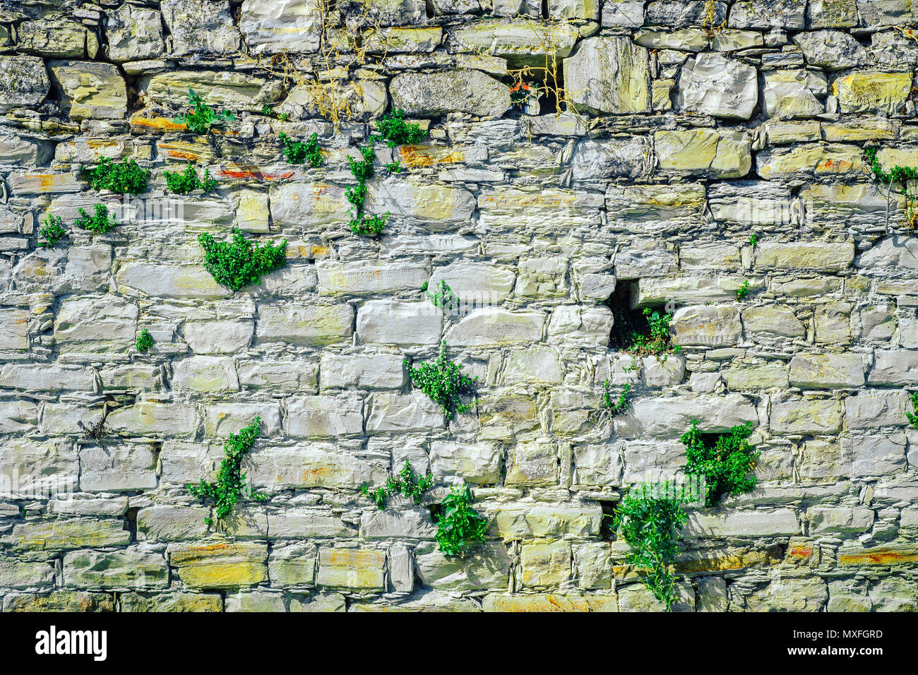 Part of the old stone wall with vegetation Stock Photo