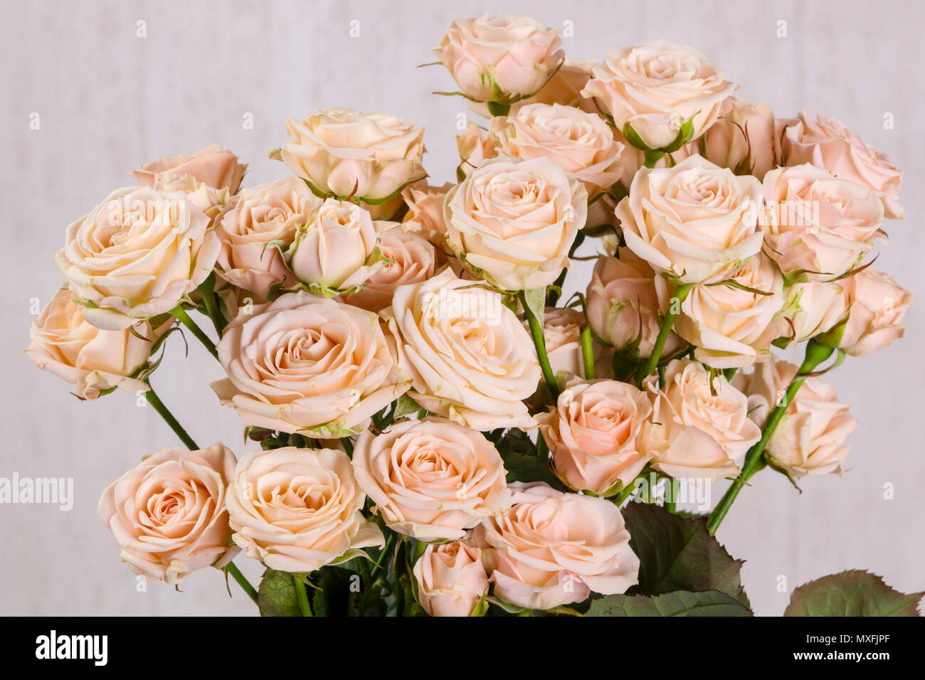 Pink roses bouquet isolated on white background Stock Photo - Alamy