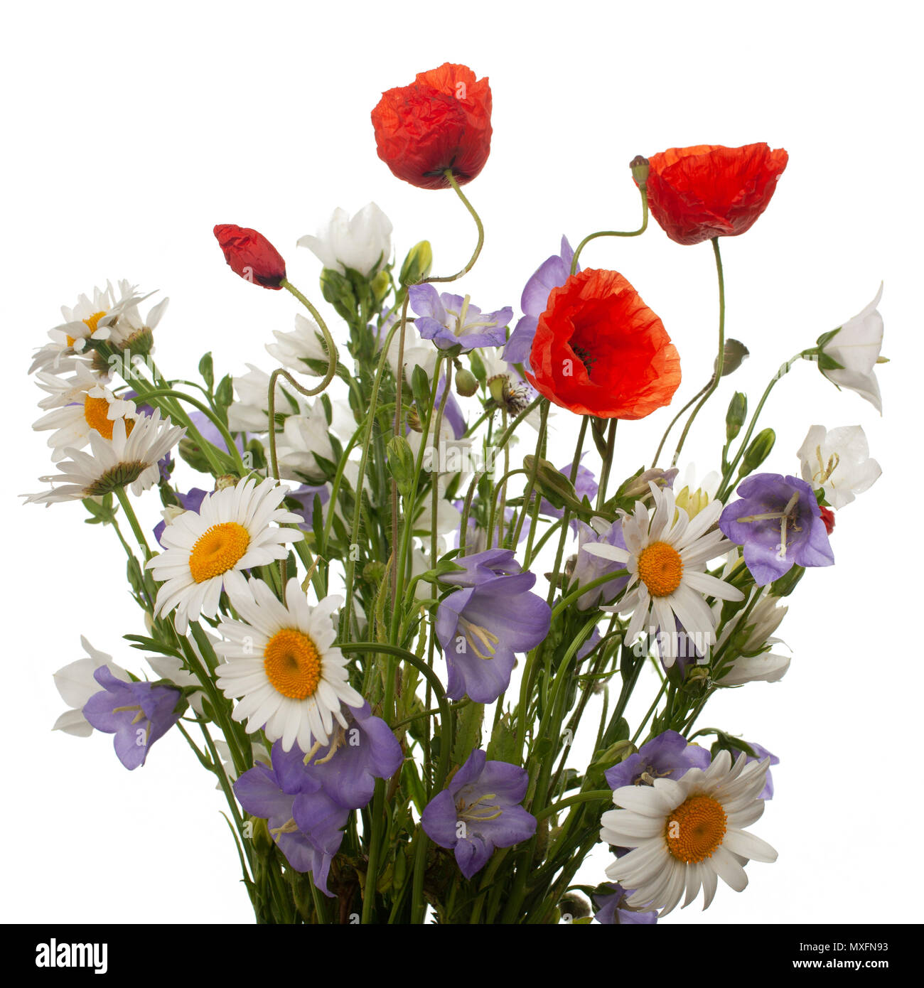 Beautiful peonies. Bouquet of pink peony background Stock Photo - Alamy