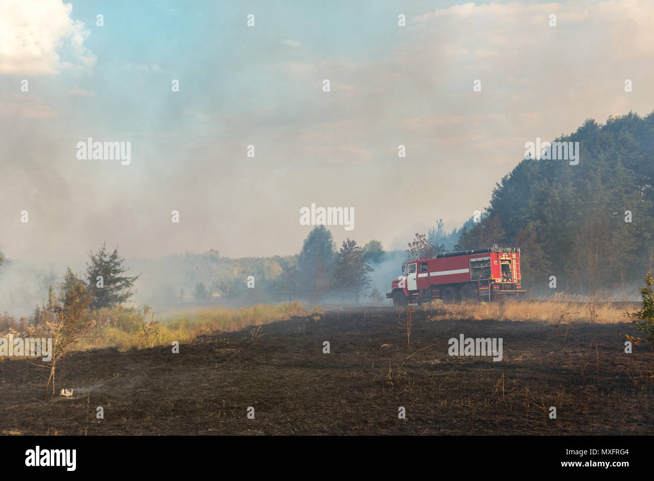 Forest wildfire due to dry windy weather. Fire engine with firefighters handling flame, Blue sky