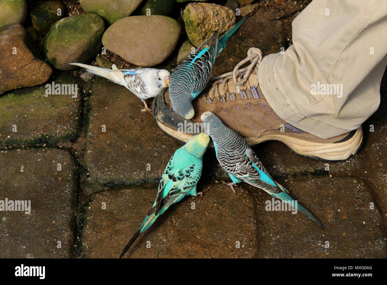 Zookeepers High Resolution Stock Photography and Images Alamy