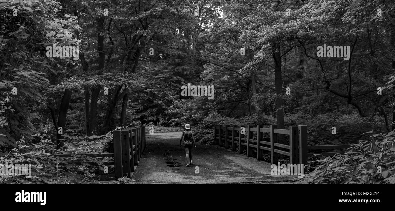 My daughter is walking through the woods of Clove Lake park ,Staten Island .New York Stock Photo